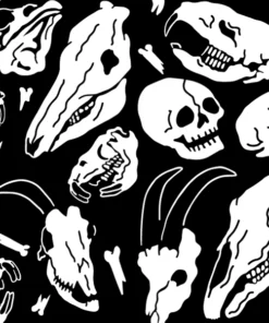 Wicked Clothes Animal Bones Socks