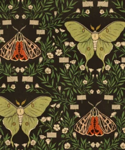 Wicked Clothes 'Floral Moth' Boxer Briefs