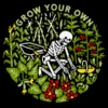 Wicked Clothes Grow Your Own Shirt