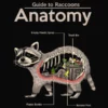 Wicked Clothes 'Raccoon Anatomy' Shirt